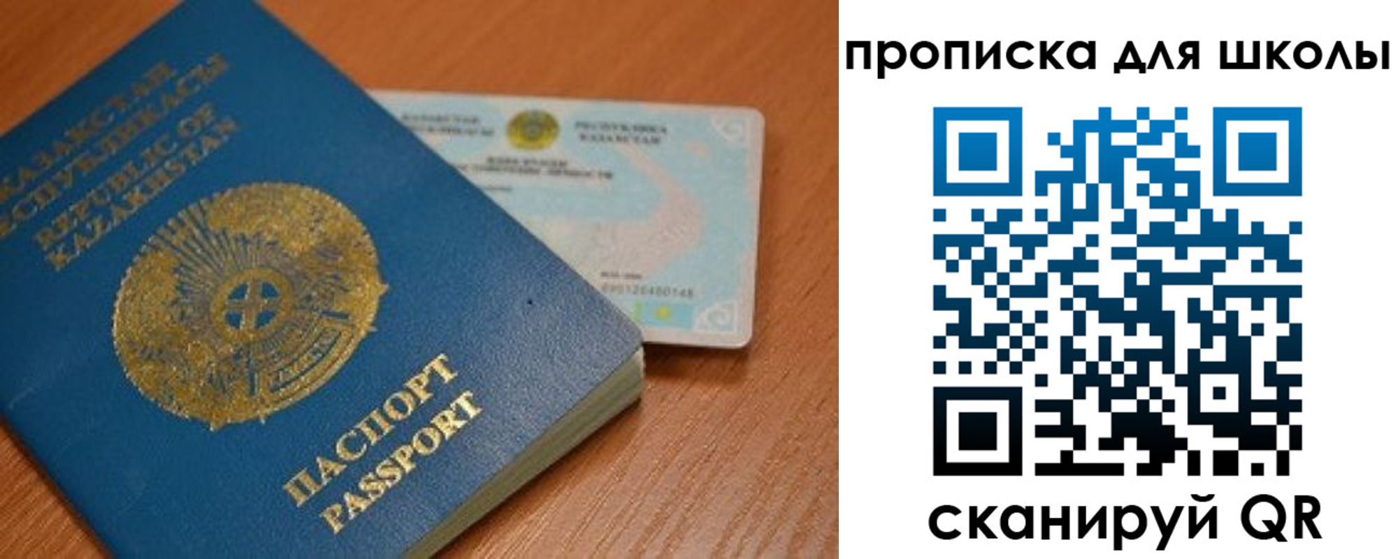 прописка поиск в Амурской области